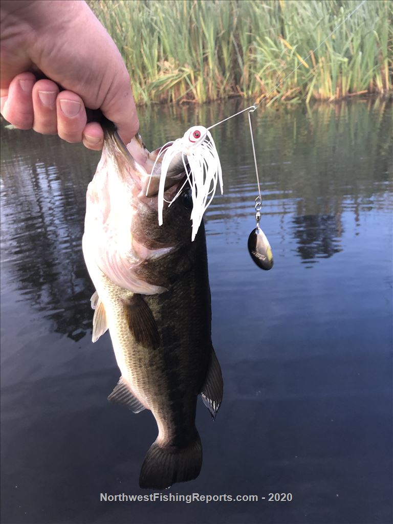 Fazon Lake Report, Whatcom County, WA - NWFR