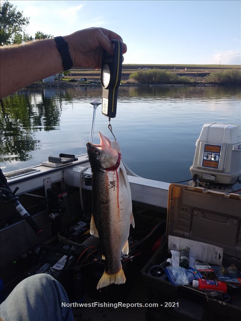 Sprague Lake Report, Lincoln County, WA NWFR