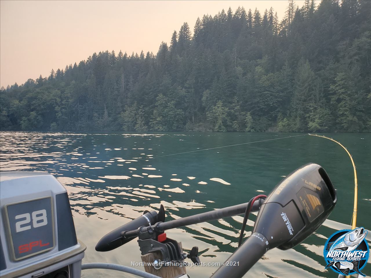 Mayfield Lake Report, Lewis County, WA NWFR