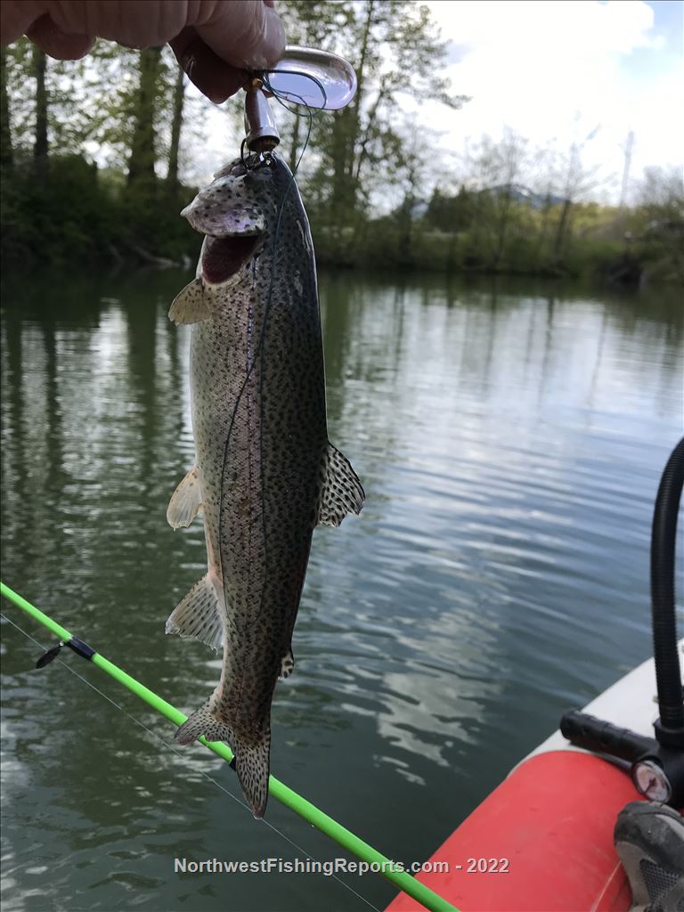 Easton Ponds Lake Report, Kittitas County, WA NWFR