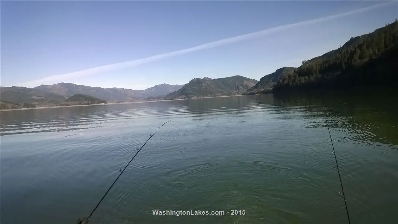 Riffe Lake Report, Lewis County, WA NWFR