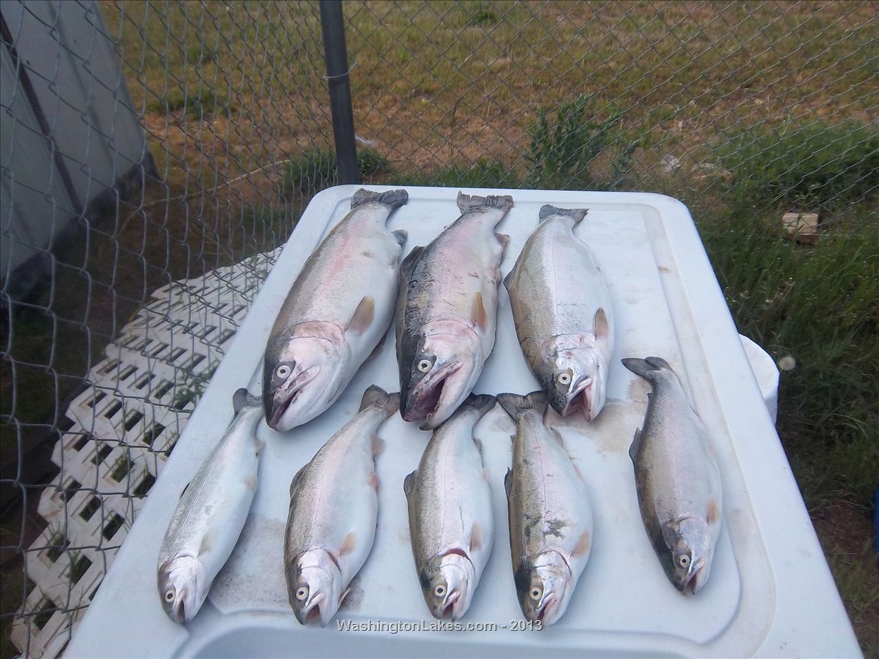 Sprague Lake Report, Adams County, WA NWFR