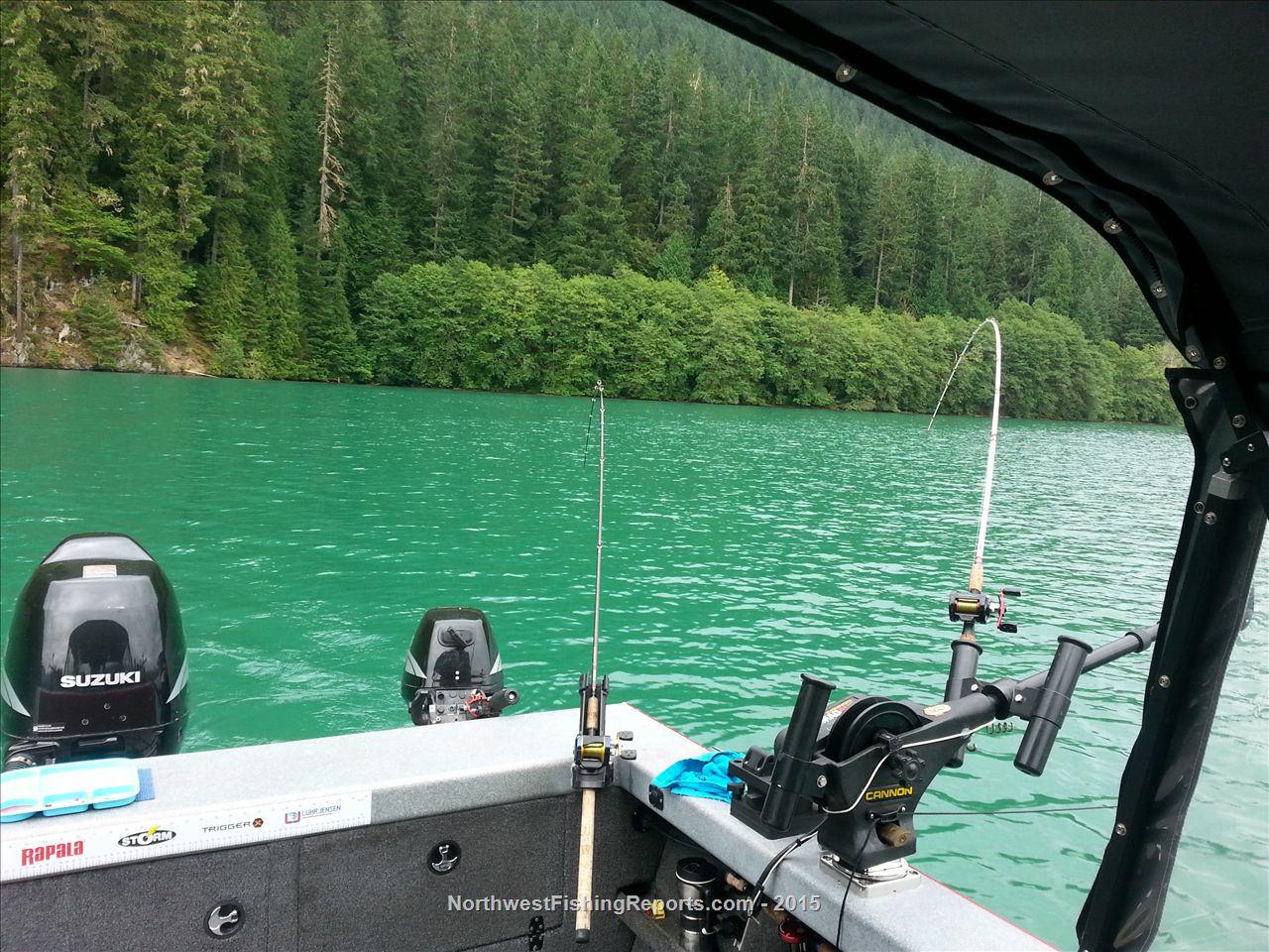 Baker Lake Report, County, WA NWFR
