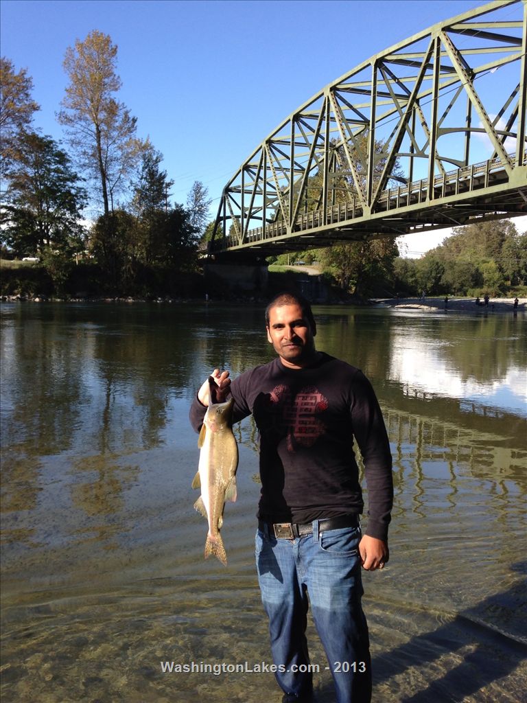 Snohomish River Report, Snohomish County, WA NWFR