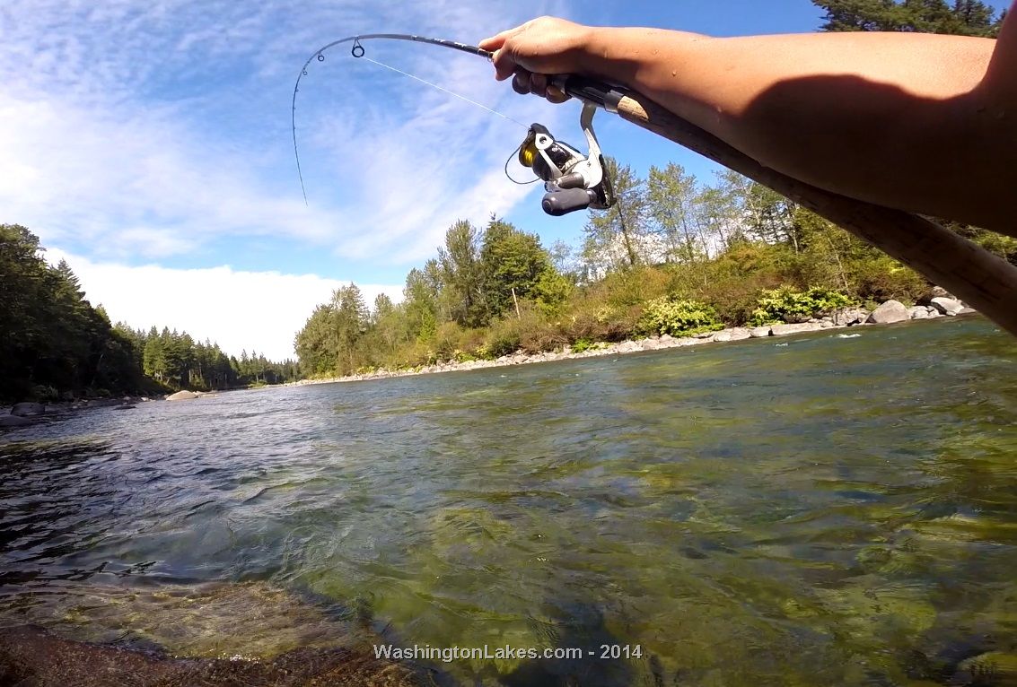 Skykomish River Report, Snohomish County, WA NWFR