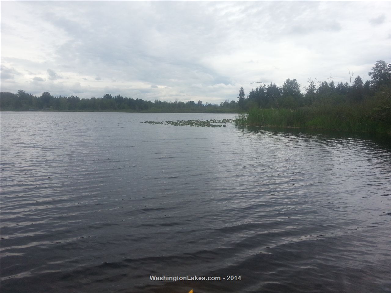 Cassidy Lake Report, Snohomish County, WA NWFR