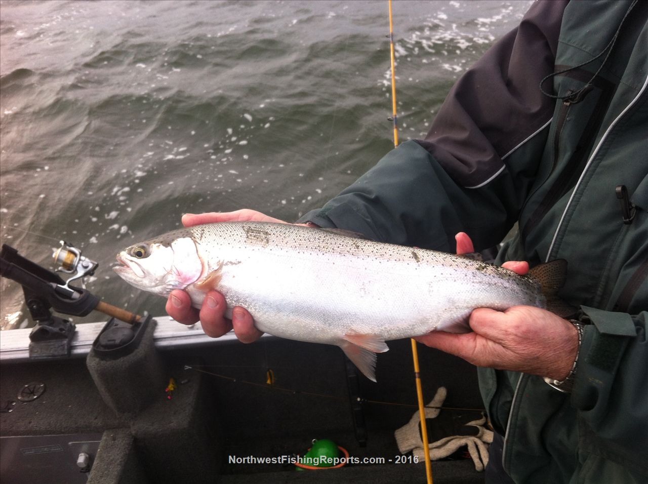 Sprague Lake Report, Adams County, WA NWFR