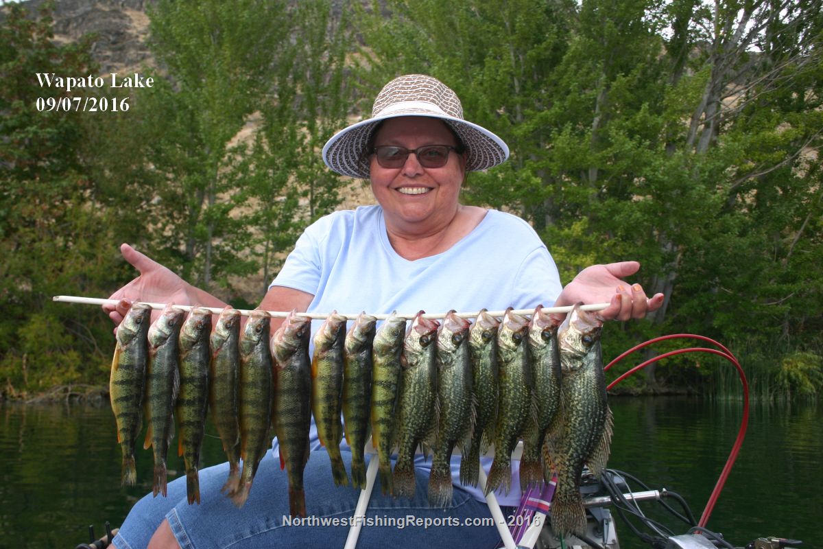 Wapato Lake Report, Chelan County, WA NWFR