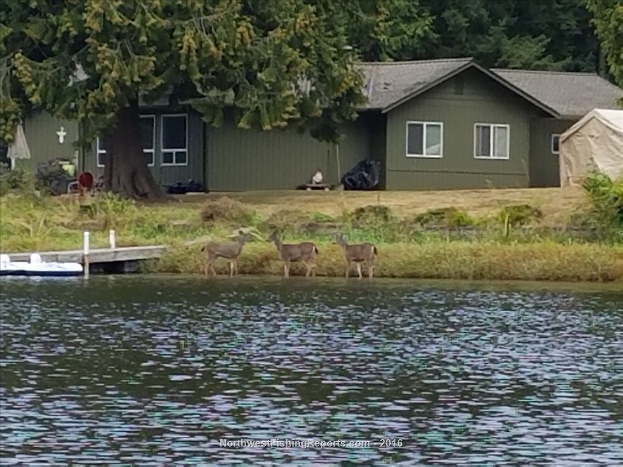 Ketchum Lake Report, Snohomish County, WA NWFR