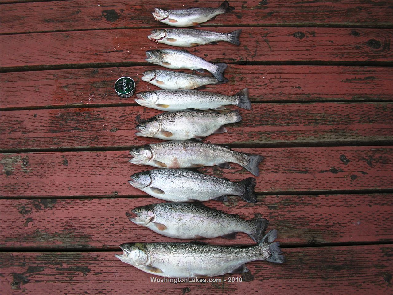 Steilacoom Lake Report, Pierce County, WA NWFR