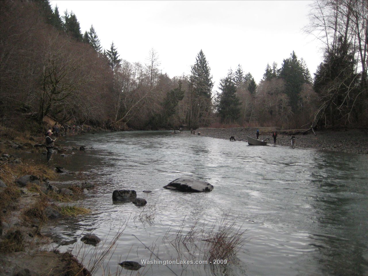 Bogachiel River Report, Clallam County, WA NWFR