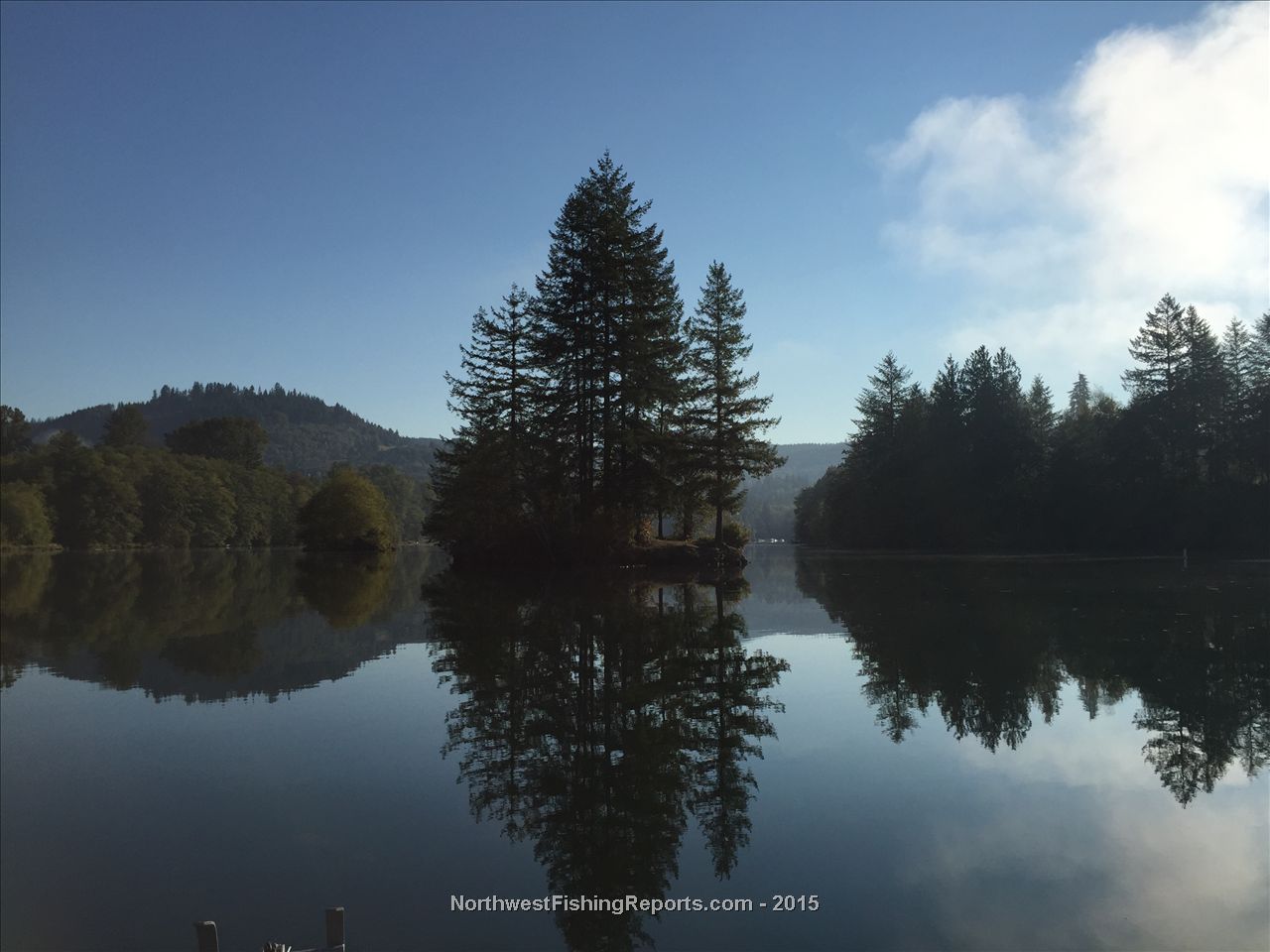 Mayfield Lake Report, Lewis County, WA NWFR
