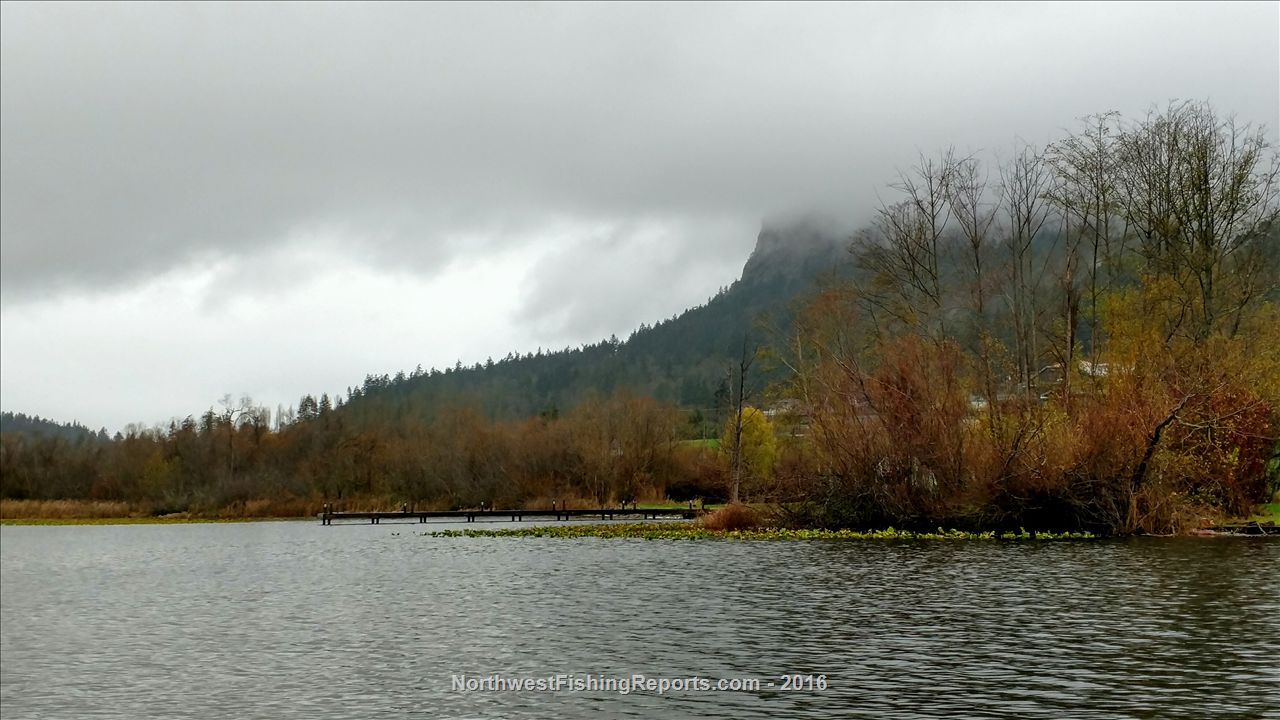 Campbell Lake Report, Skagit County, WA NWFR