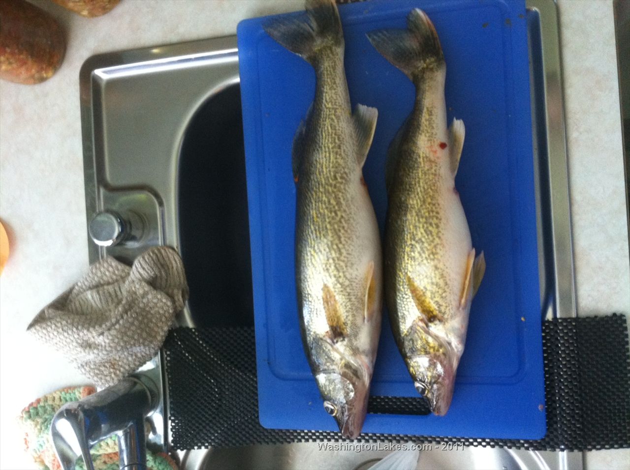 Billy Clapp Lake Report, Grant County, WA NWFR