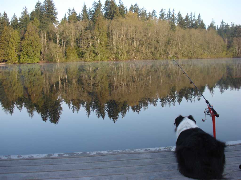 Island Lake Report, Kitsap County, WA NWFR