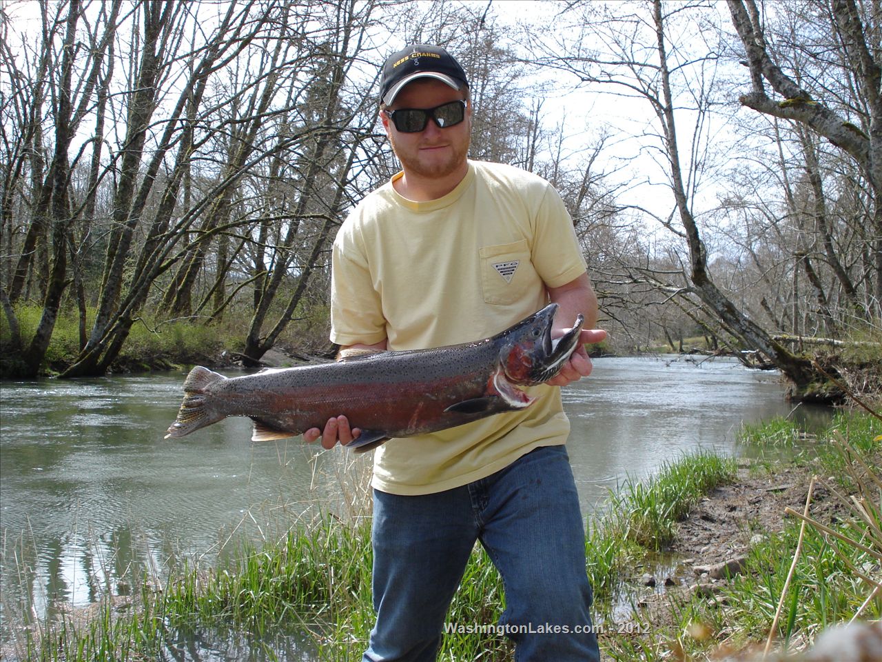 Skookumchuck River Report, Lewis County, WA NWFR