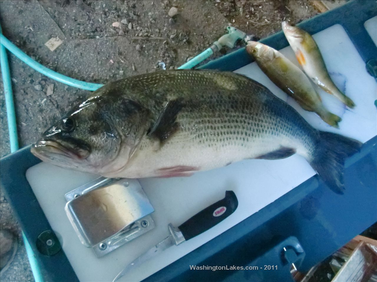 Soda Lake Report, Grant County, WA NWFR