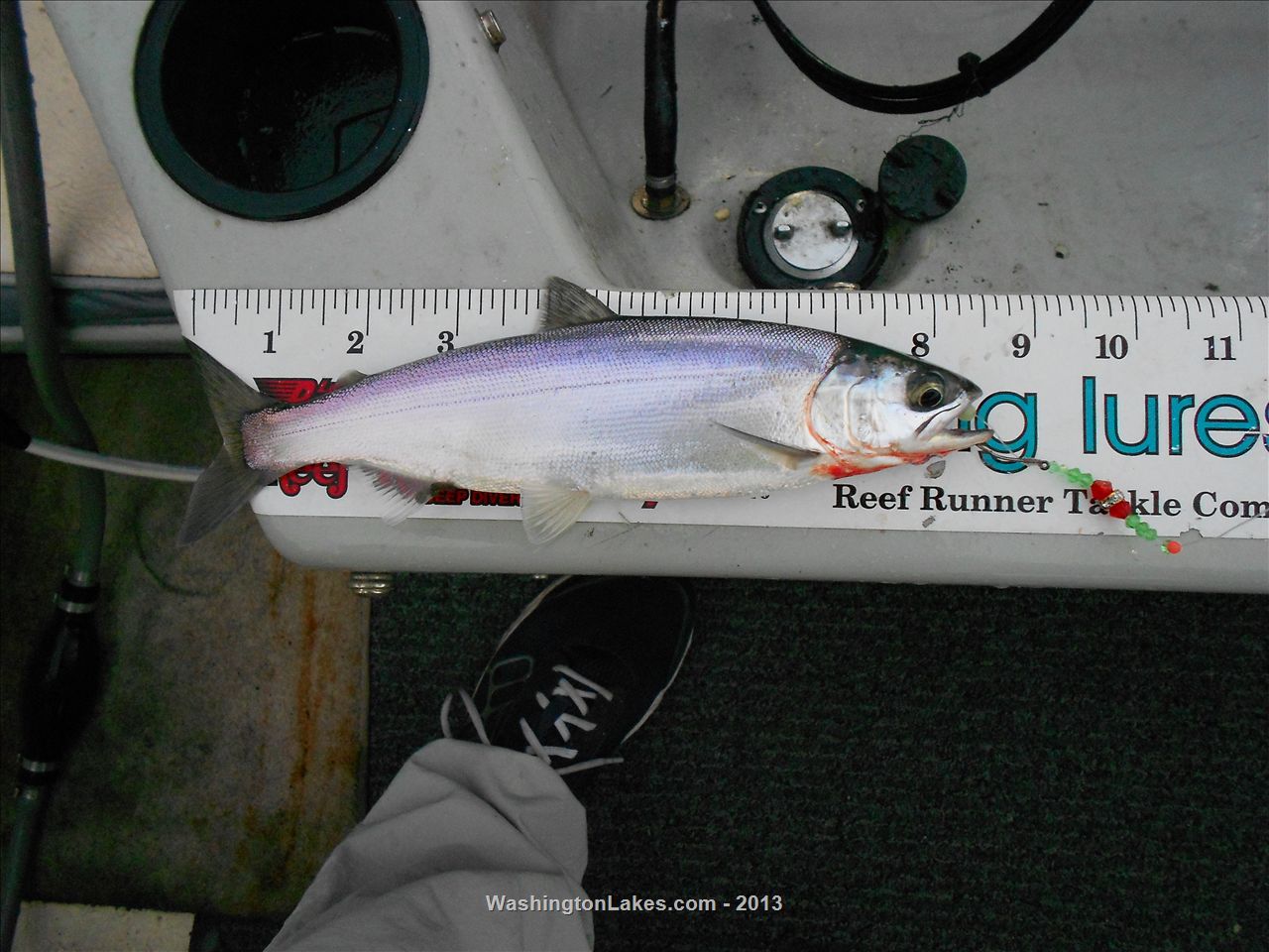 Cushman Lake Report, Mason County, WA NWFR