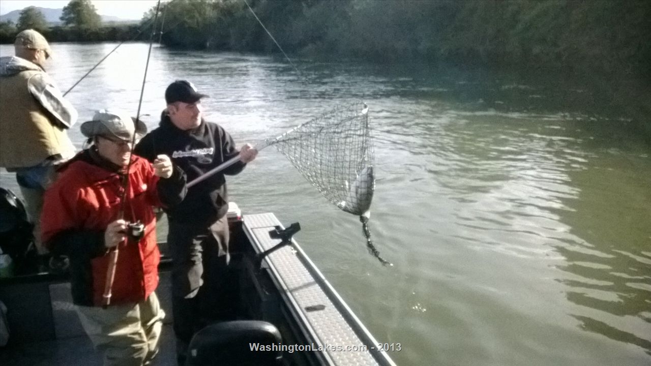 Snohomish River Report, Snohomish County, WA NWFR