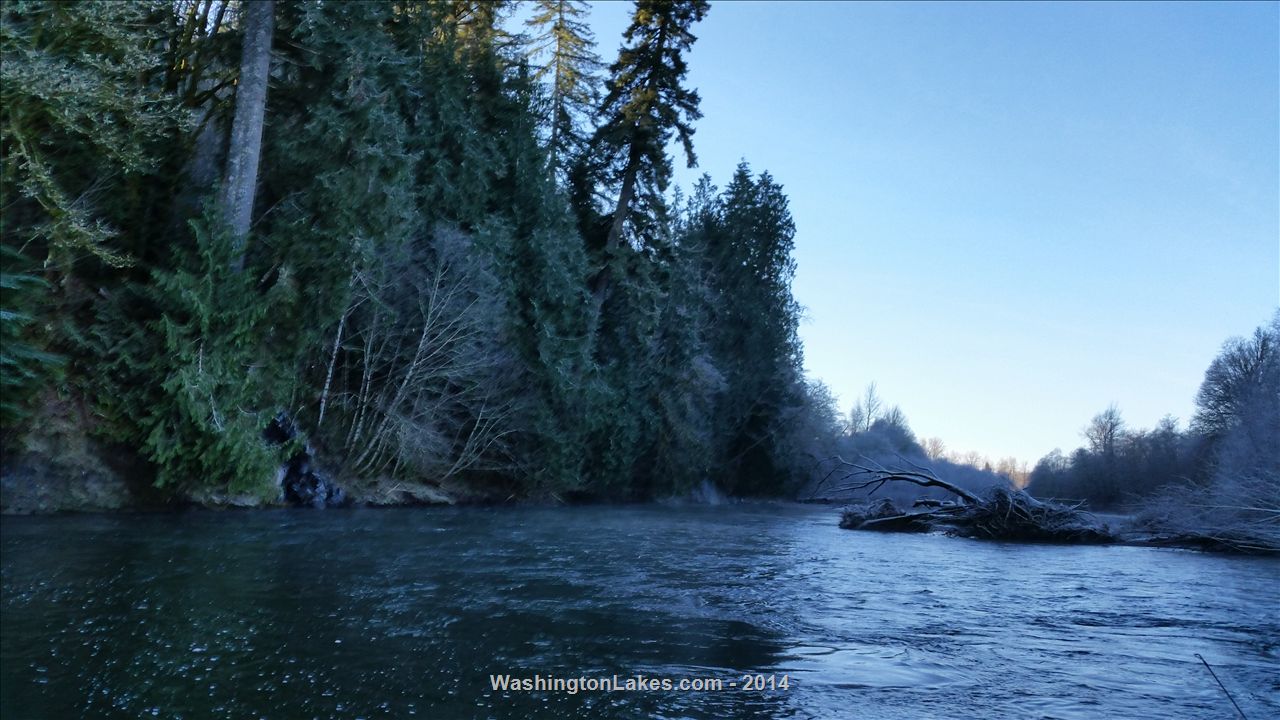 Satsop River Report, Grays Harbor County, WA NWFR