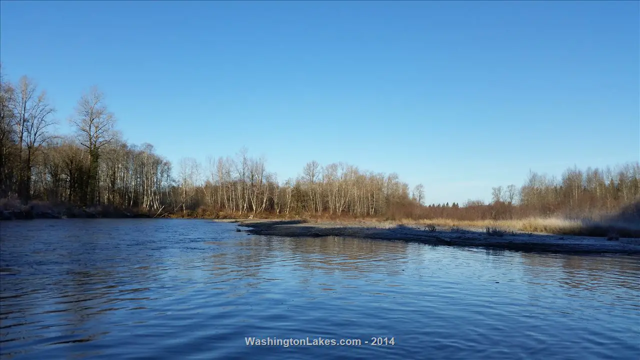 Satsop River Report, Grays Harbor County, WA NWFR