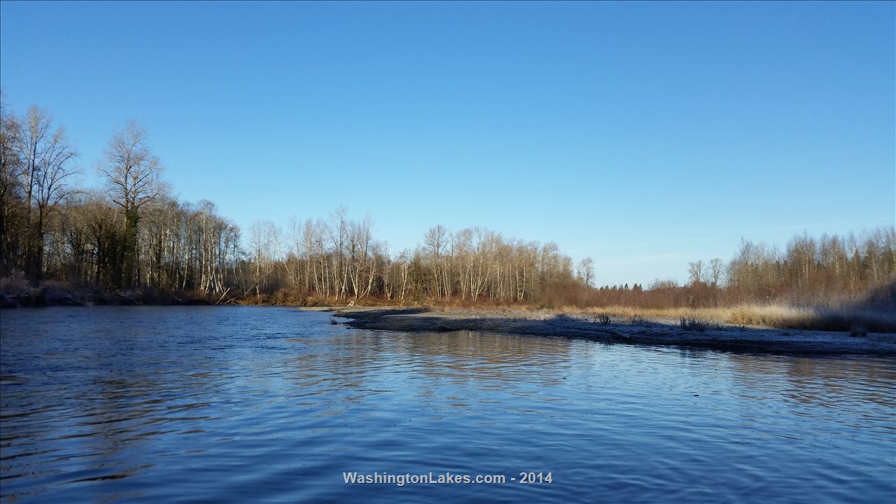 Satsop River Report, Grays Harbor County, WA NWFR