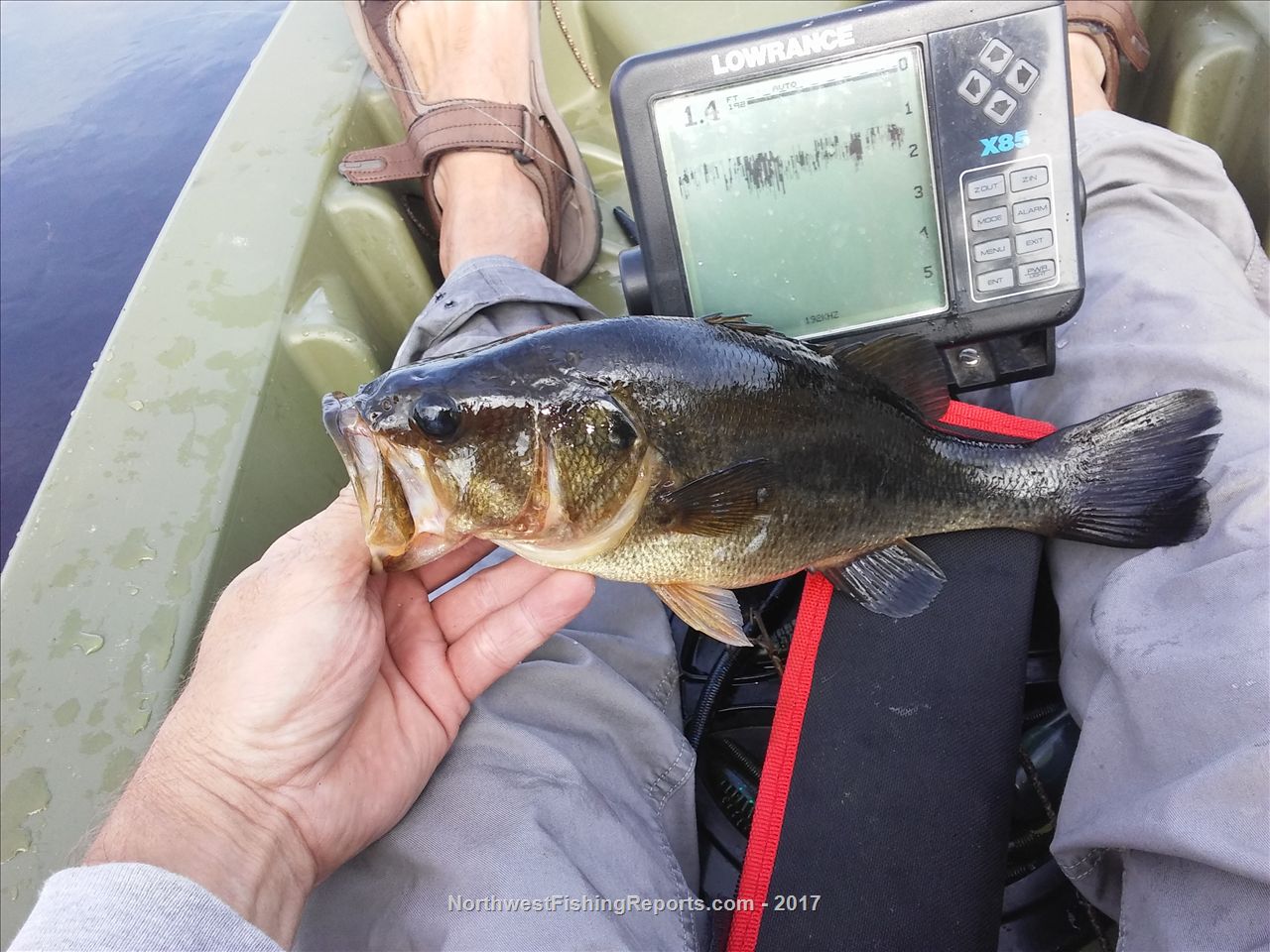 Cassidy Lake Report, Snohomish County, WA NWFR