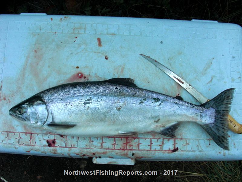 Snohomish River Report, Snohomish County, WA NWFR
