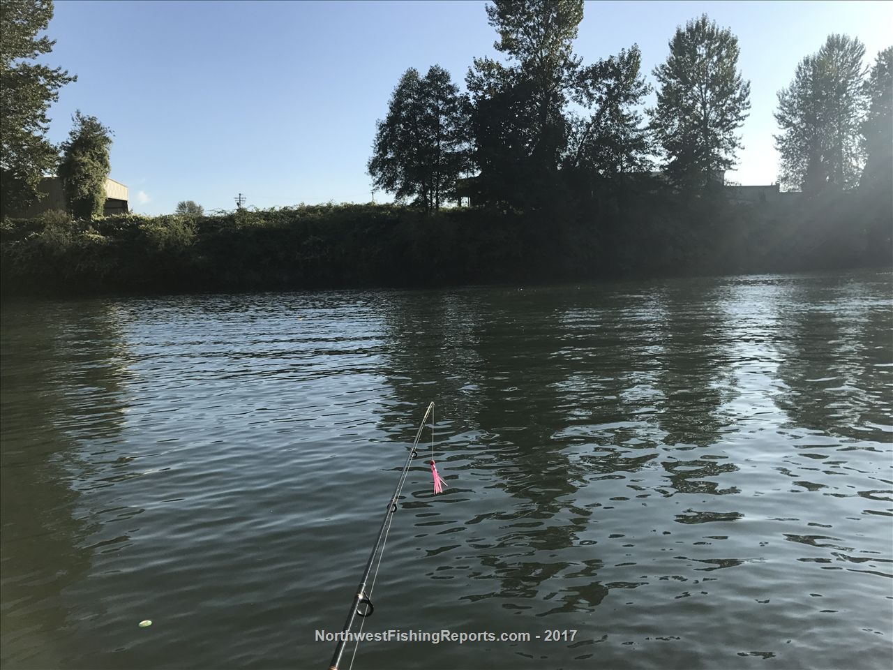 Snohomish River Report, Snohomish County, WA NWFR