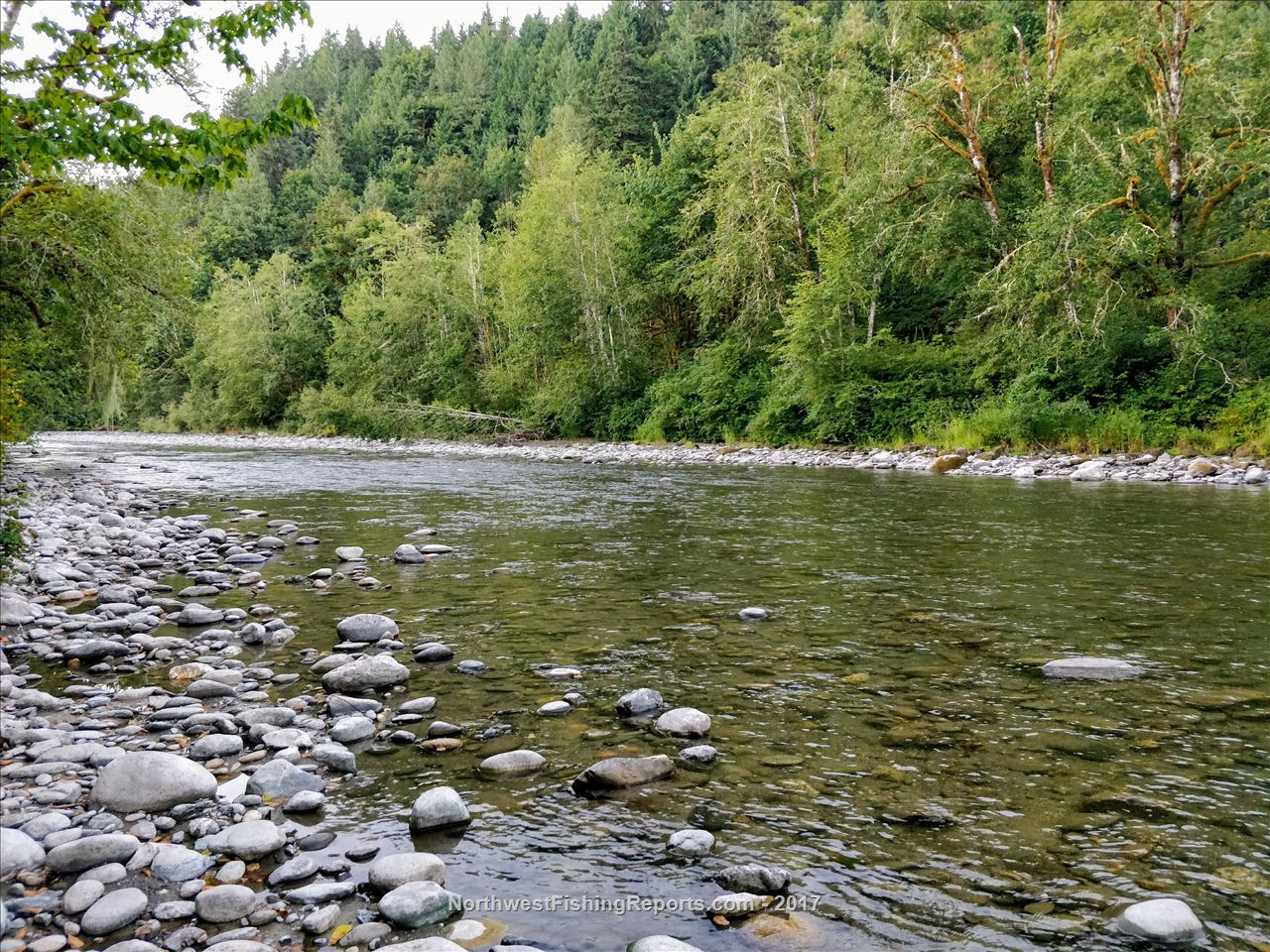 Nooksack River Report, County, WA NWFR