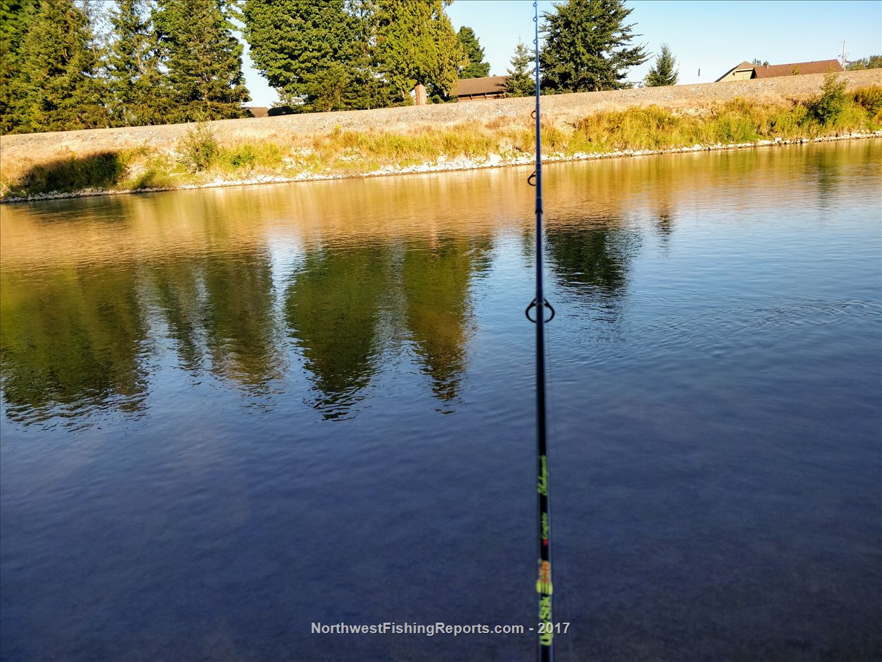 Nooksack River Report, County, WA NWFR