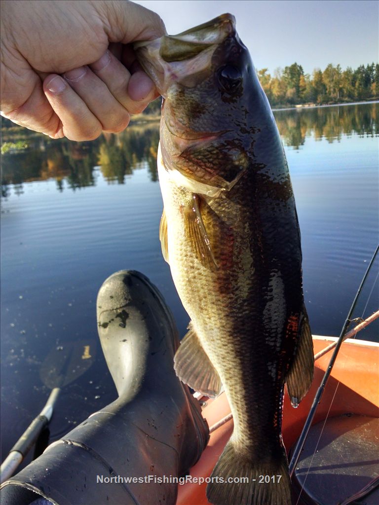 Cassidy Lake Report, Snohomish County, WA NWFR