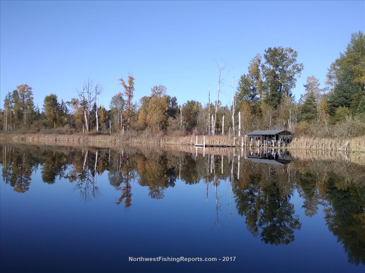 Cassidy Lake Report, Snohomish County, WA NWFR
