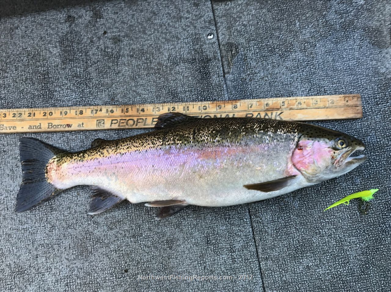 Sprague Lake Report, Adams County, WA NWFR