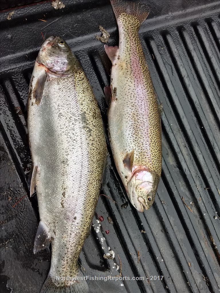 17 Rufus Woods Report, Washington NWFR