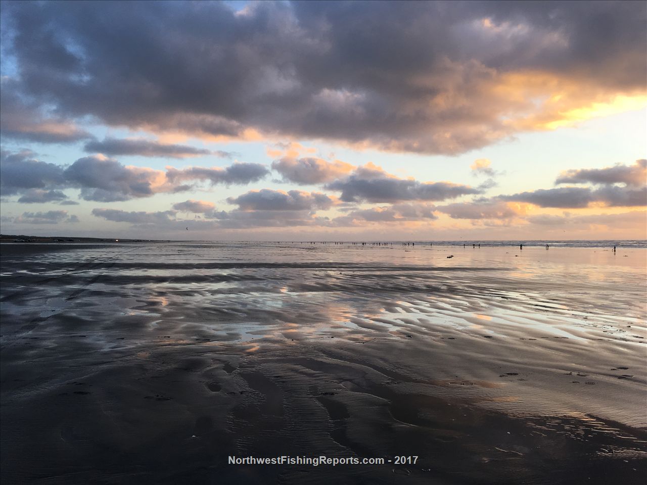 Area 2 Westport Ocean Shores Report, Washington NWFR