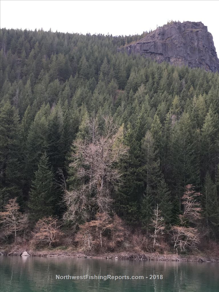 Rattlesnake Lake Report, King County, WA NWFR