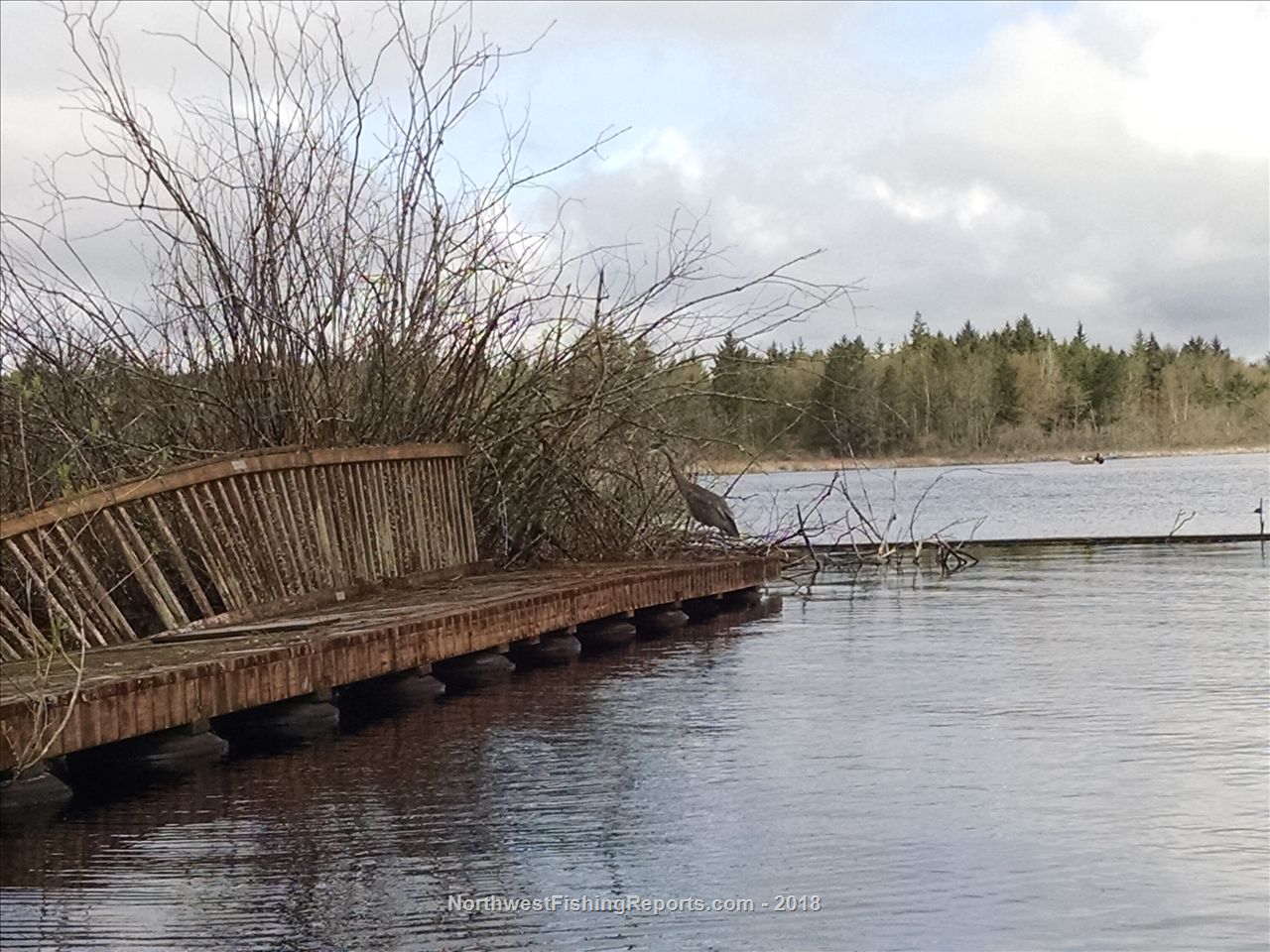 Cassidy Lake Report, Snohomish County, WA NWFR