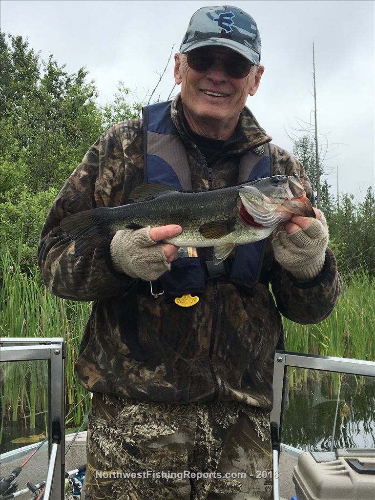 Cassidy Lake Report, Snohomish County, WA NWFR