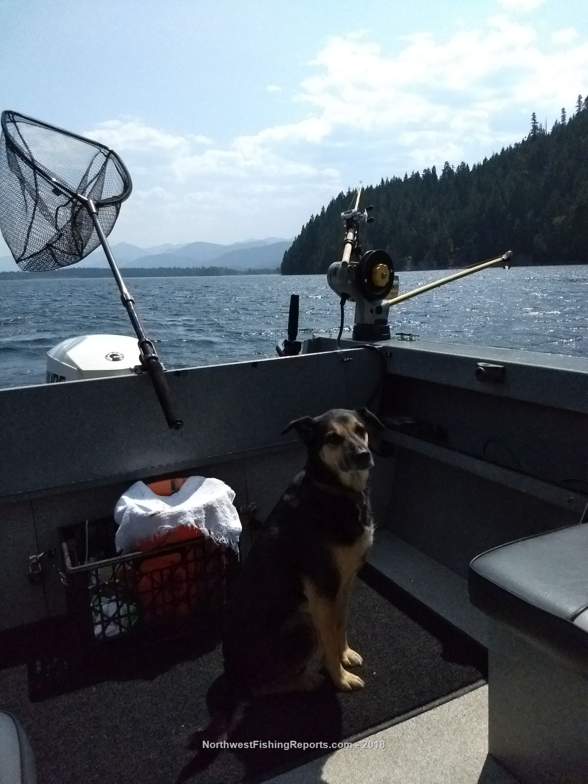 Kachess Lake Report, Kittitas County, WA NWFR