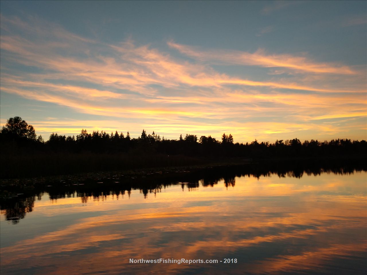 Cassidy Lake Report, Snohomish County, WA NWFR
