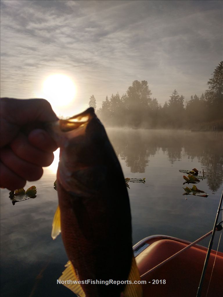 Cassidy Lake Report, Snohomish County, WA NWFR