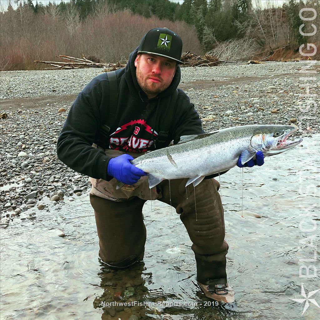 Wynoochee River Report, Grays Harbor County, WA NWFR