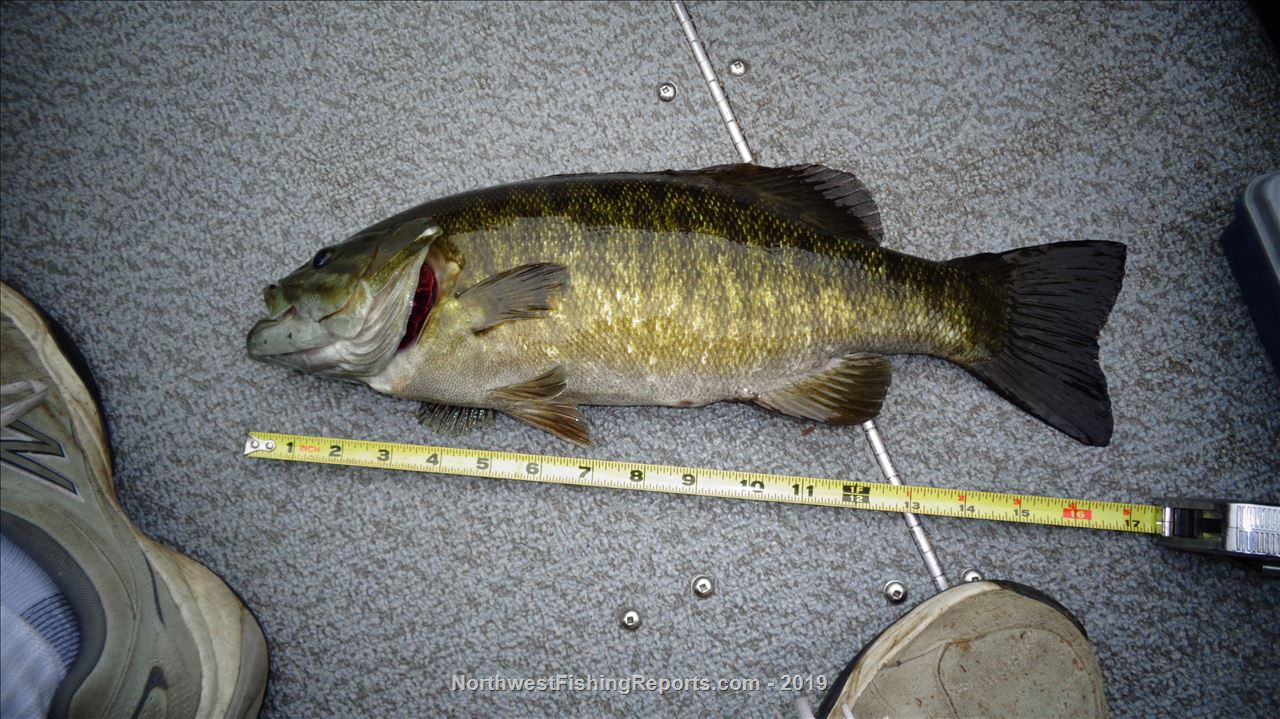 Steilacoom Lake Report, Pierce County, WA NWFR