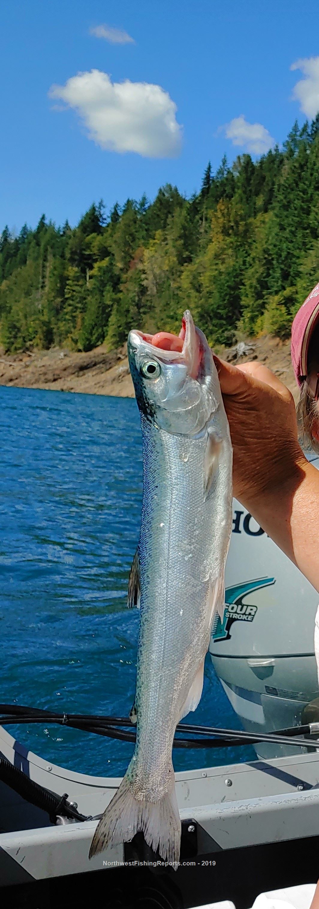 Riffe Lake Report, Lewis County, WA NWFR