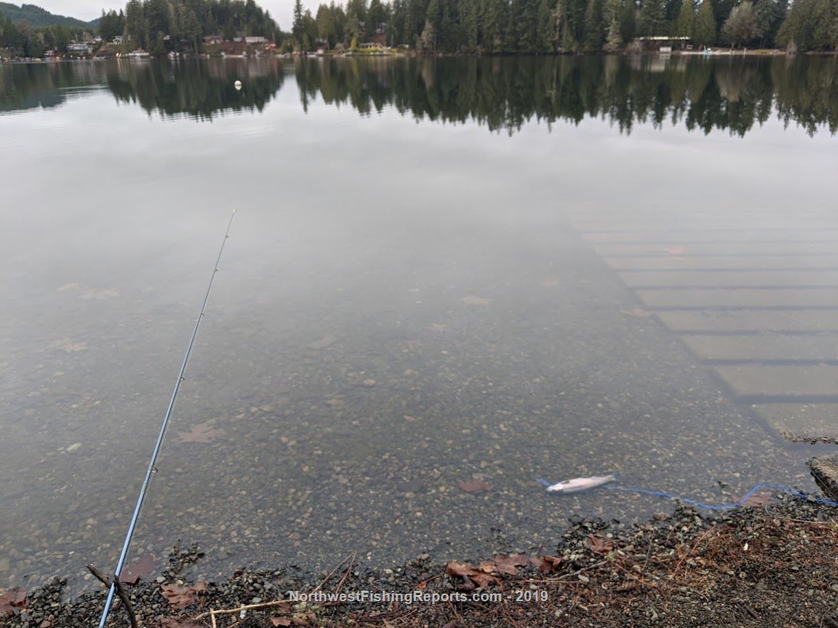 Lost Lake Report, Mason County, WA NWFR