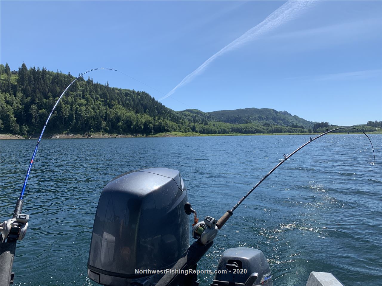 Riffe Lake Report, Lewis County, WA NWFR