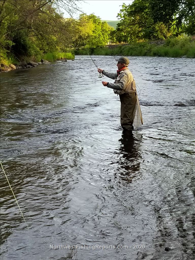Touchet River Report, Walla Walla County, WA NWFR