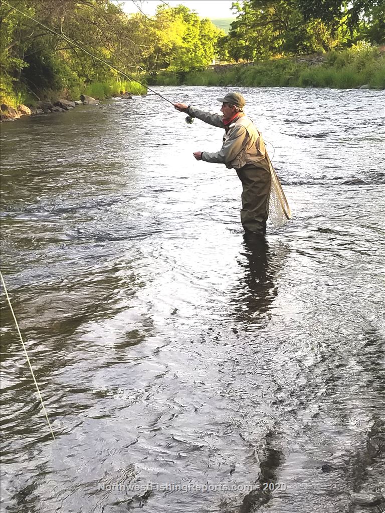 Touchet River Report, Walla Walla County, WA NWFR