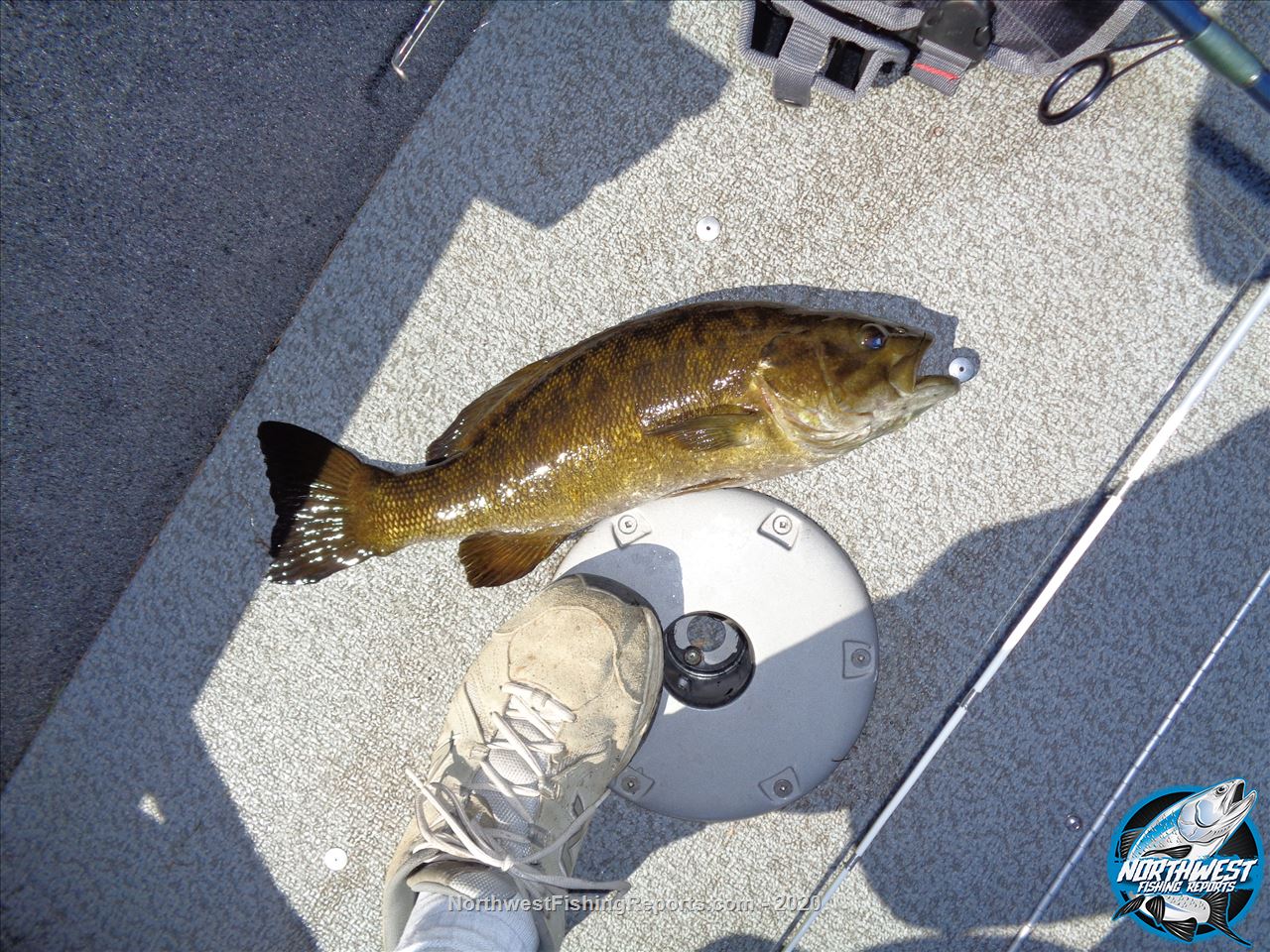 Steilacoom Lake Report, Pierce County, WA NWFR